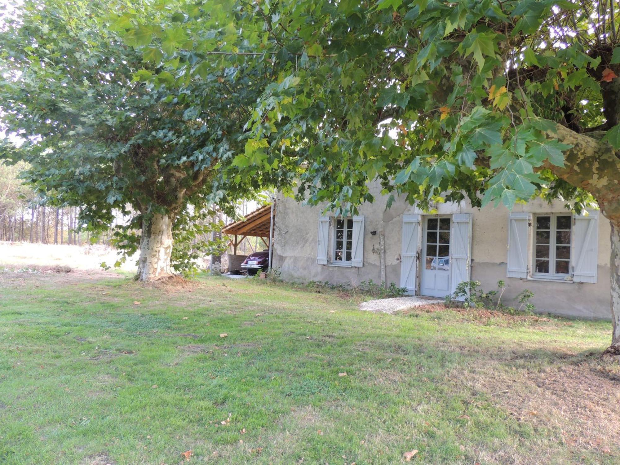 Entre Chevreuil Et Cerf Belin-Beliet Exterior foto